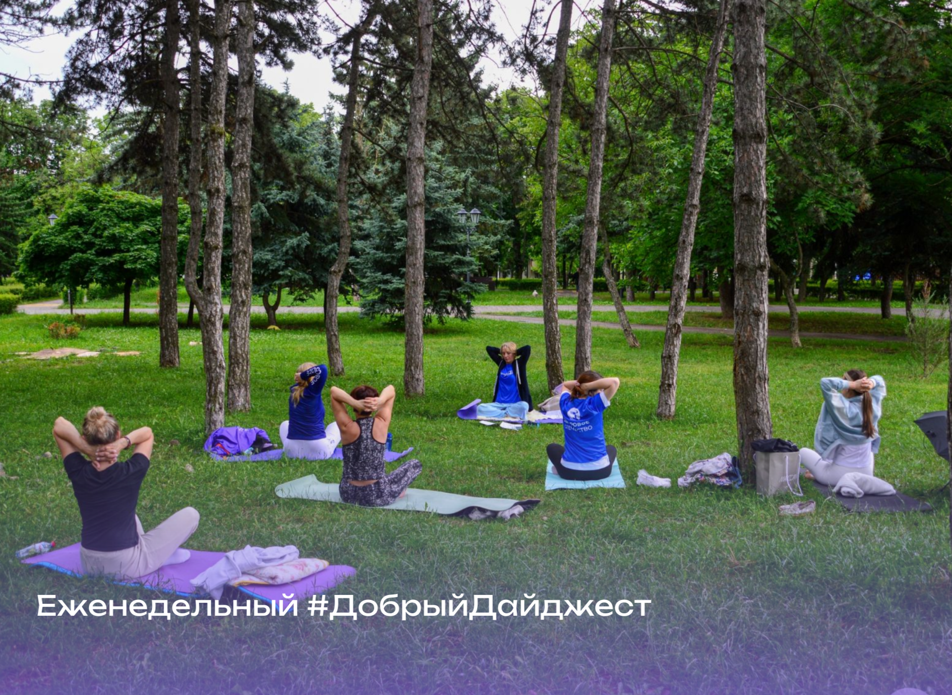 #ДОБРЫЙДАЙДЖЕСТ